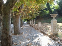ingrandisci