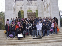 vedi foto